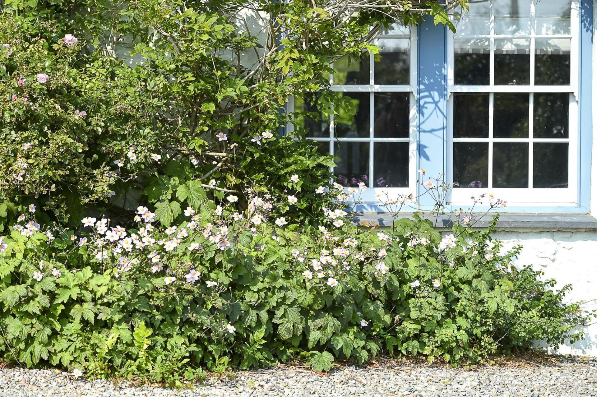 Vila Pen Y Bryn Abersoch Exteriér fotografie