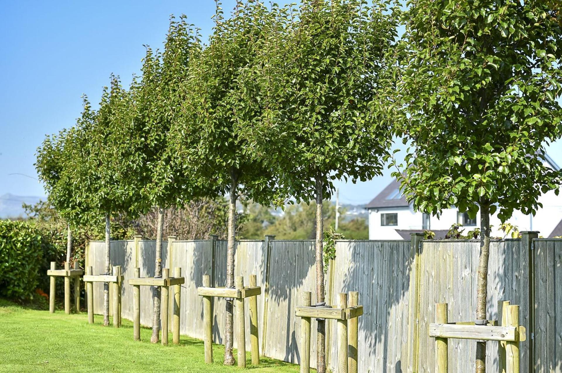 Vila Pen Y Bryn Abersoch Exteriér fotografie